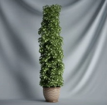 Plant Bonsai Series - 3D Model of vines (including materials)