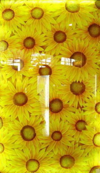 Perfect stained glass - sunflowers