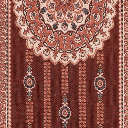 Brown carpet Gyrosigma texture